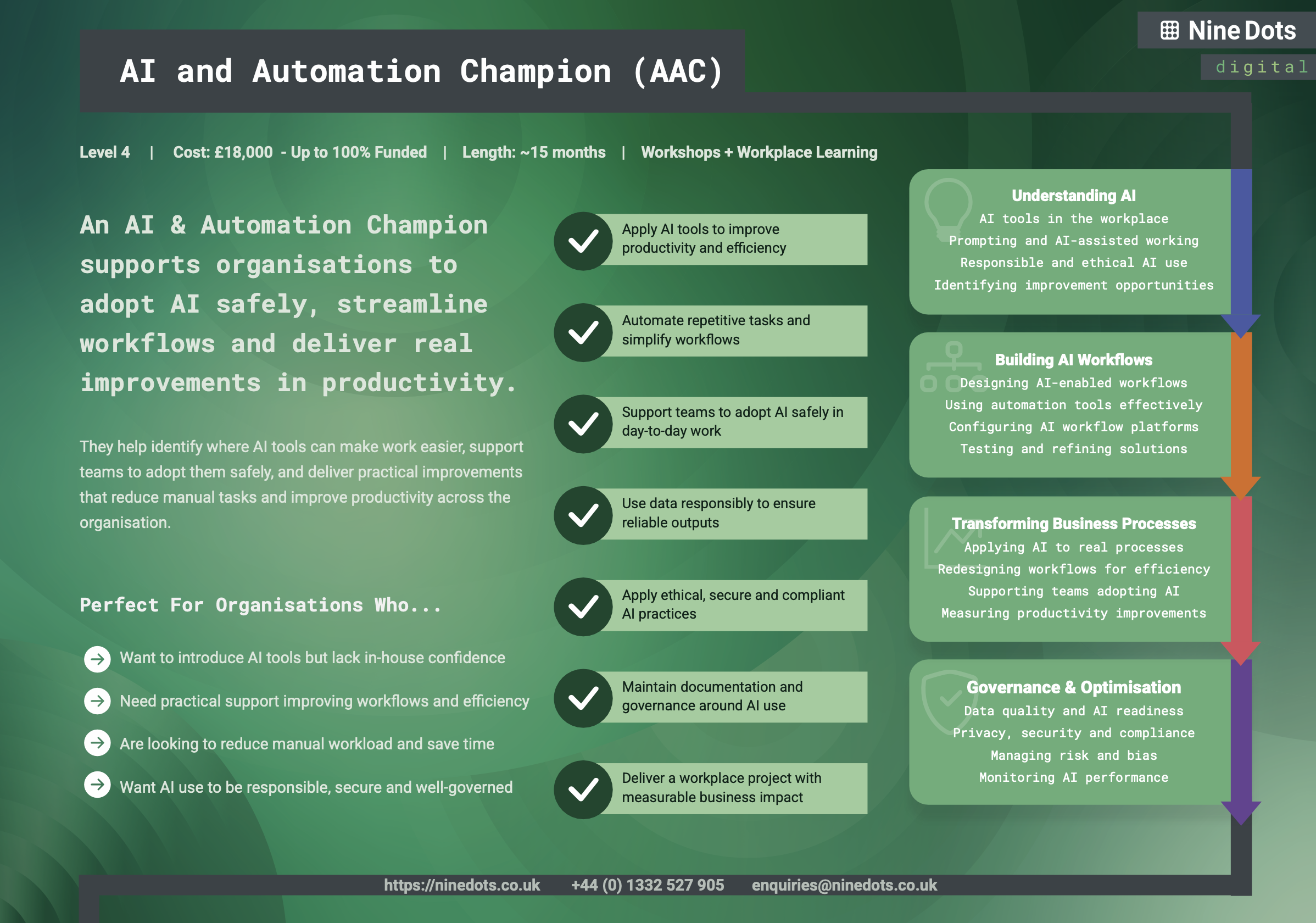 AI & Automation Champion Programme